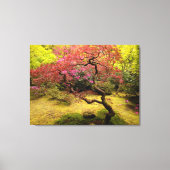 Japanse aple Tree Canvas afdrukken (Voorkant)