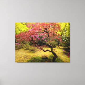 Japanse aple Tree Canvas afdrukken