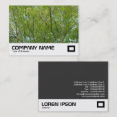 Japanse aple visitekaartje (Voorkant / Achterkant)