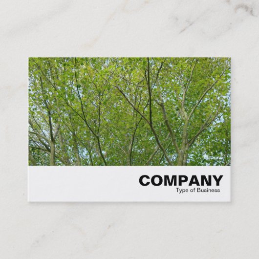 Japanse aple visitekaartje (Voorkant)