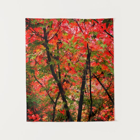 Japanse aple wandkleed (Voorkant)