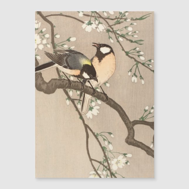 Japanse Aziatische Koson Bird Chickadee Songbird (Voorkant)