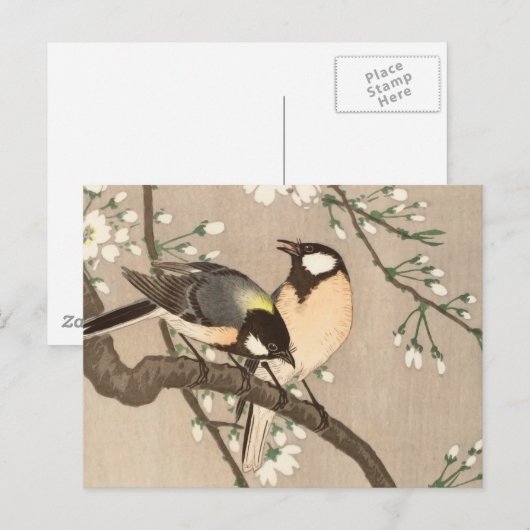 Japanse Aziatische Koson Bird Chickadee Songbird Briefkaart (Voorkant / Achterkant)