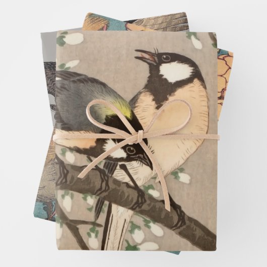 Japanse Aziatische Koson Bird Chickadee Songbird Inpakpapier Vel (In situ)