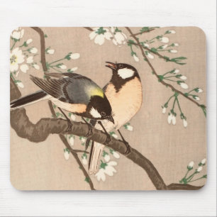 Japanse Aziatische Koson Bird Chickadee Songbird Muismat