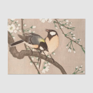 Japanse Aziatische Koson Bird Chickadee Songbird Tissuepapier