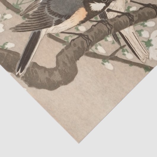 Japanse Aziatische Koson Bird Chickadee Songbird Tissuepapier (Detail)