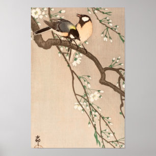 Japanse Aziatische Vogel Mees Zangvogel Poster
