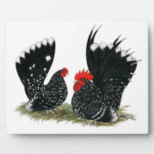 Japanse Bantams Mottled Fotoplaat