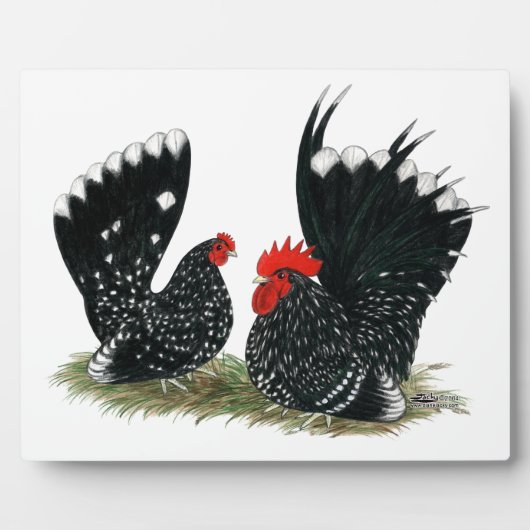 Japanse Bantams Mottled Fotoplaat (Voorkant)