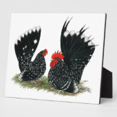 Japanse Bantams Mottled Fotoplaat (Zijkant)