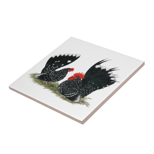 Japanse Bantams Mottled Tegeltje (Zijkant)