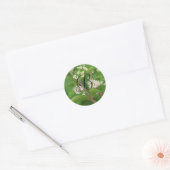 Japanse Beautyberry in bloei Ronde Sticker (Envelop)