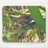Japanse Beetle Mousepad Muismat (Voorkant)