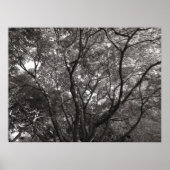 Japanse bijkantoren II Poster (Voorkant)