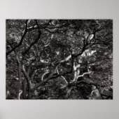 Japanse bijkantoren III Poster (Voorkant)