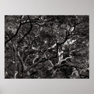 Japanse bijkantoren III Poster