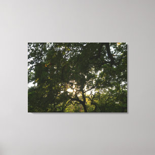 Japanse bijkantoren IV Canvas Afdruk