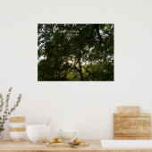 Japanse bijkantoren IV Poster (Keuken)