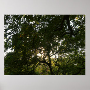 Japanse bijkantoren IV Poster