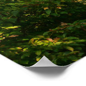 Japanse bijkantoren V Poster (Hoek)