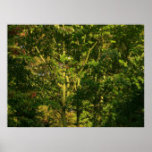 Japanse bijkantoren V Poster (Voorkant)