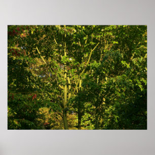 Japanse bijkantoren V Poster