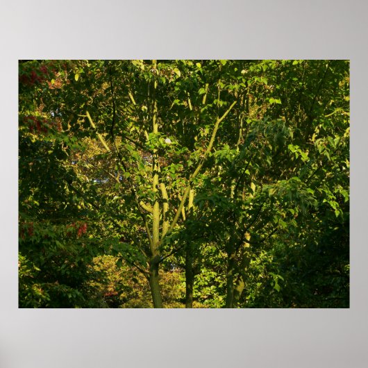 Japanse bijkantoren V Poster (Voorkant)