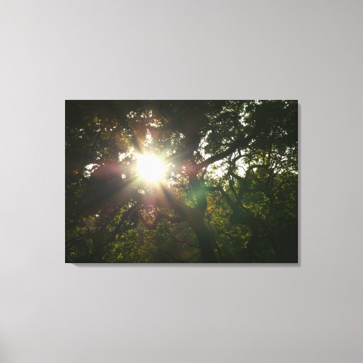 Japanse bijkantoren VII Canvas Afdruk (Voorkant)