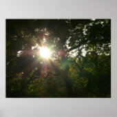 Japanse bijkantoren VII Poster (Voorkant)