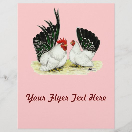 Japanse Blacktail Bantams Flyer (Voorkant)