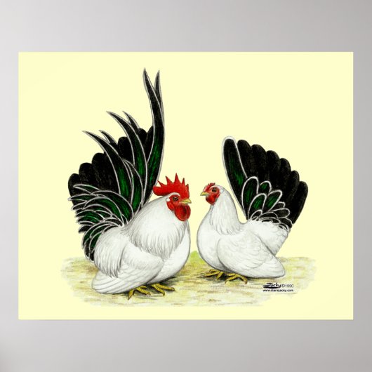Japanse Blacktail Bantams Poster (Voorkant)