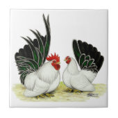 Japanse Blacktail Bantams Tegeltje (Voorkant)