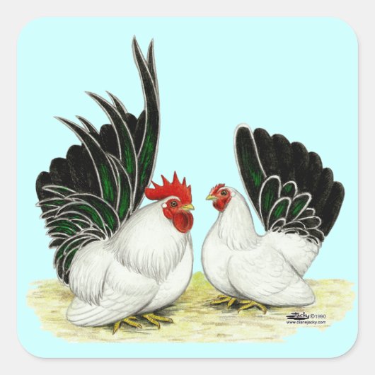 Japanse Blacktail Bantams Vierkante Sticker (Voorkant)
