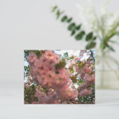 Japanse bloeiende 2Cherry Briefkaart (Staand voorkant)
