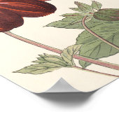  Japanse bloemen Oranje rode bloemen Poster (Hoek)