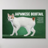 Japanse Bobtail Cat Breed Poster (Voorkant)