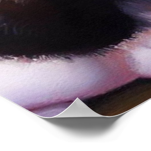 Japanse Bobtail Cat Poster (Hoek)