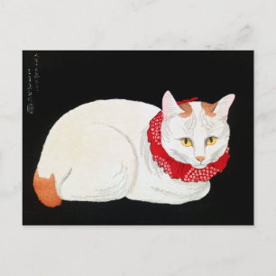 Japanse Bobtail Cat, Shotei Briefkaart