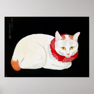 Japanse Bobtail Cat, Shotei Poster