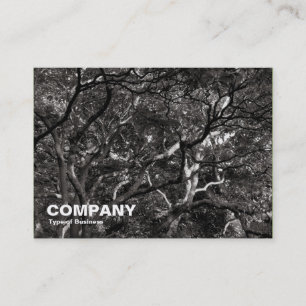 Japanse bomen 02 visitekaartje