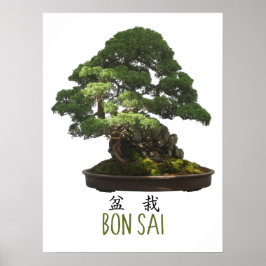 Japanse Bonsai-boom en symbool Poster