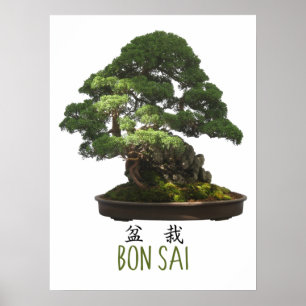Japanse Bonsai-boom en symbool Poster