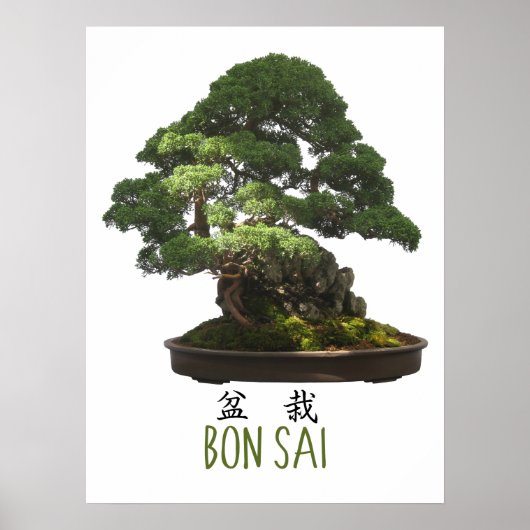 Japanse Bonsaiboom en Symbool Poster (Voorkant)