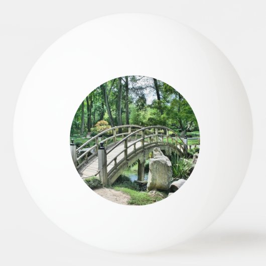 Japanse boogbrug pingpongbal (Voorkant)