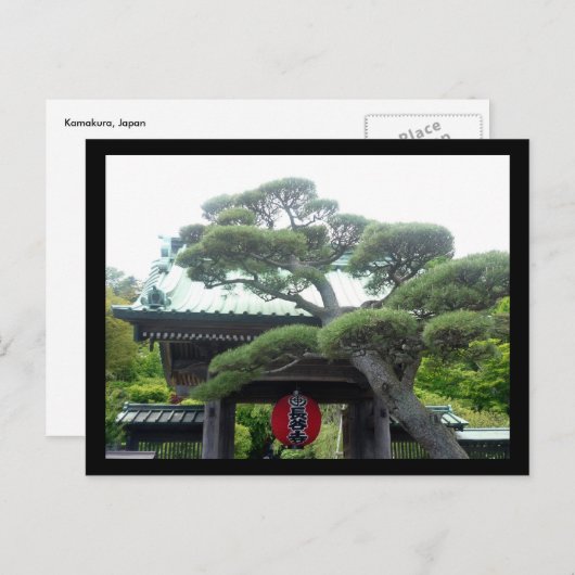 japanse boom briefkaart (Voorkant / Achterkant)