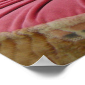 Japanse bries poster (Hoek)