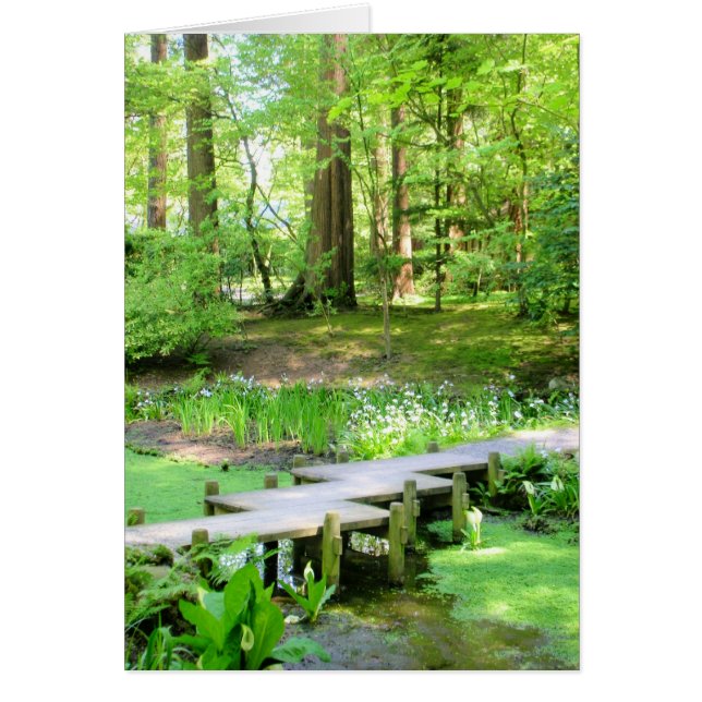 Japanse brug in de tuinen van de Nitobe (Voorkant)