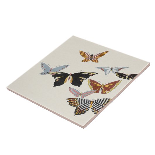 Japanse Butterfly TC22-04 Tegeltje (Zijkant)