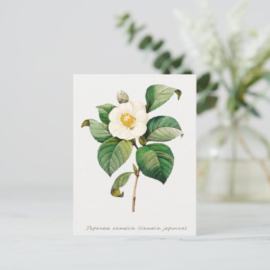  Japanse Camellia Botanisch Briefkaart (Staand voorkant)